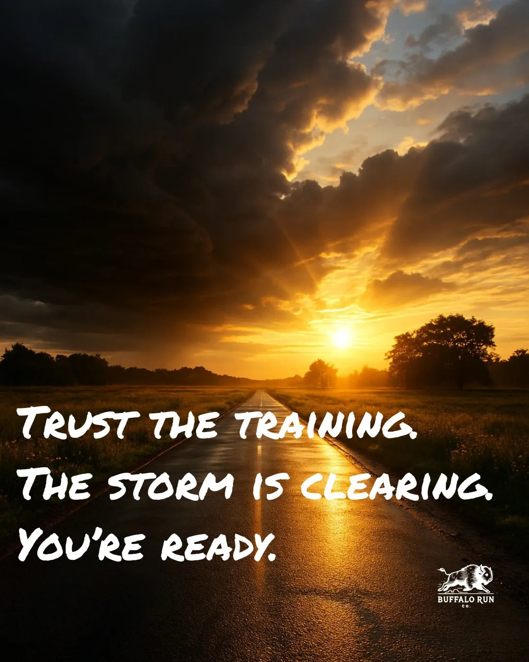 Trust the Training: The Weird Week Before the Race